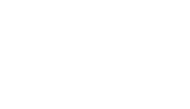 Ally Bank